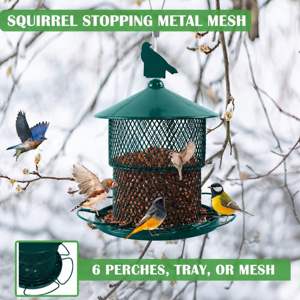 Metal Bird Feeder, Hanging Bird Feeders Squirrel Proof, 4 Lbs Seed Capacity